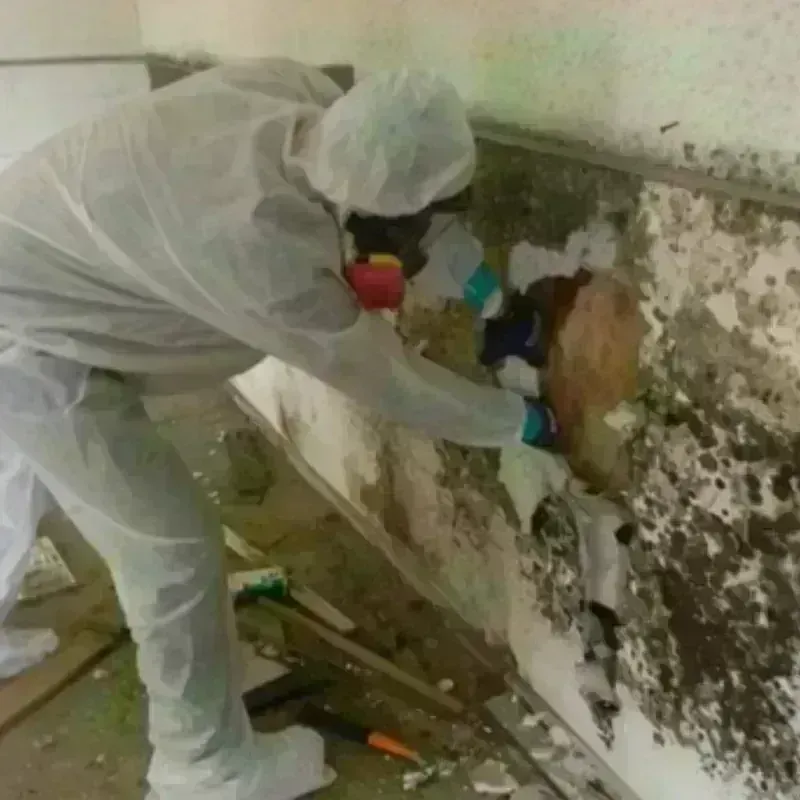 Mold Remediation and Removal in North Syracuse, NY