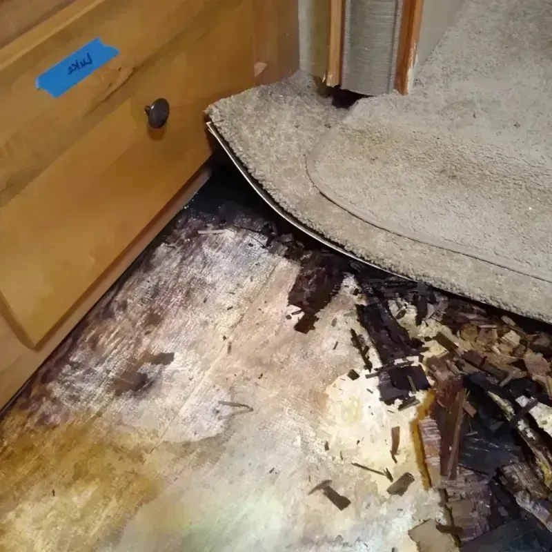 Wood Floor Water Damage in North Syracuse, NY